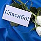 Спасибо большое