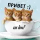 Привет