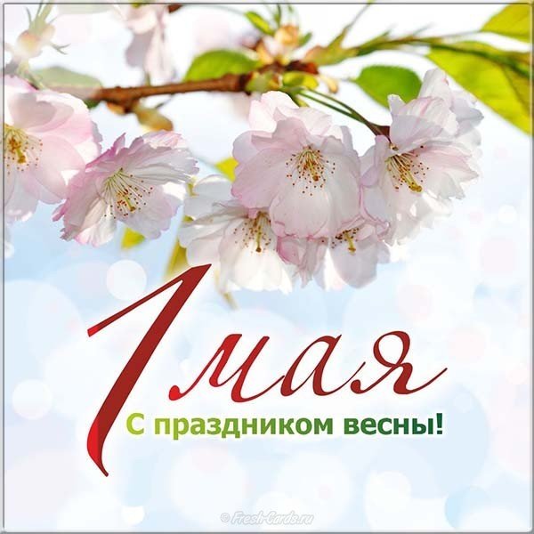 1 мая картинка