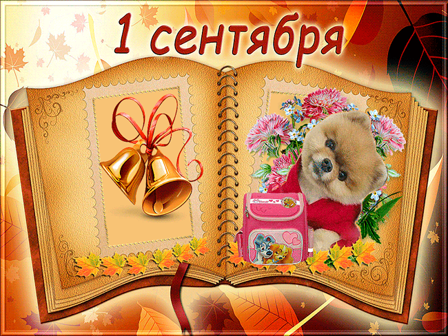1 сентября картинки