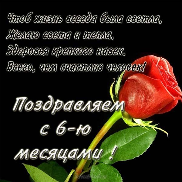 6 месяцев поздравление мальчику открытка бесплатная