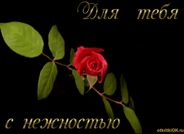 Анимационная открытка гиф