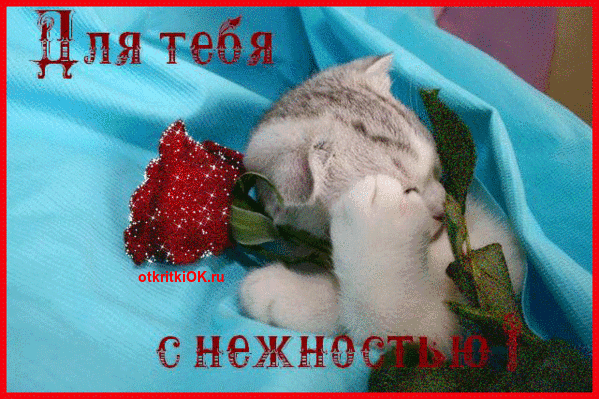 Анимационная открытка женщине