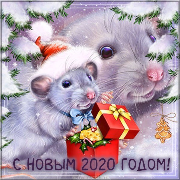 Бесплатная картинка новогодняя на 2020 год с крысой