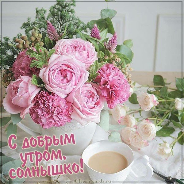 Бесплатная картинка с добрым утром солнышко