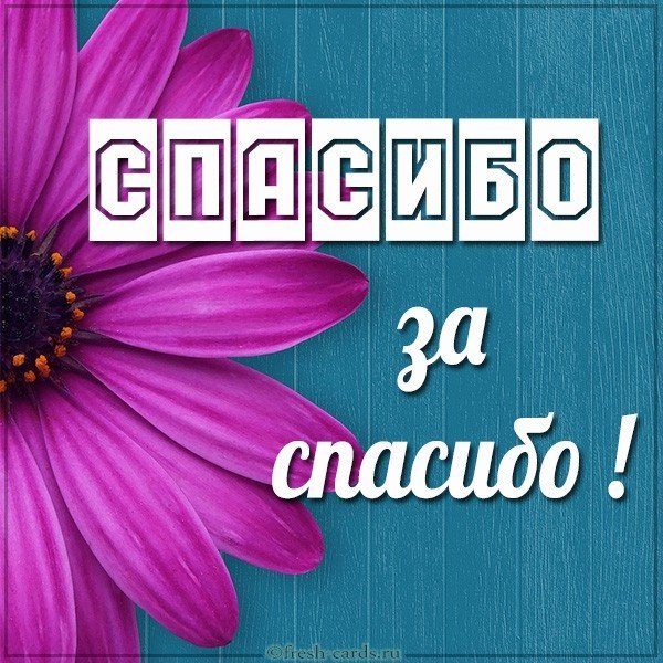 Бесплатная картинка спасибо за спасибо