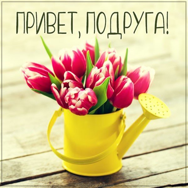 Бесплатная открытка привет подруга