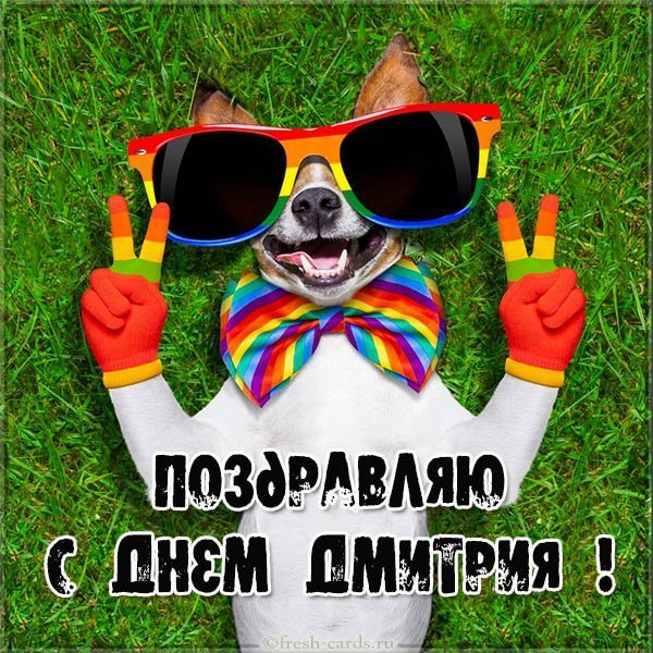 Бесплатная открытка с днем Дмитрия