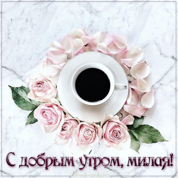 Бесплатная открытка с добрым утром милая