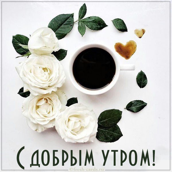 Бесплатная открытка с добрым утром