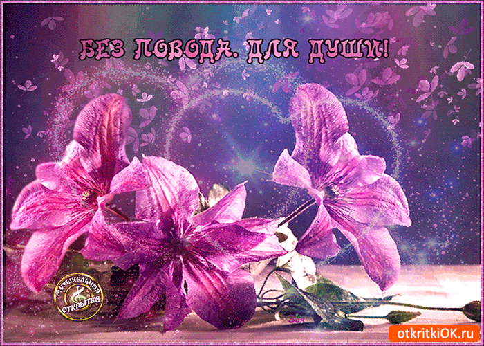 Без повода но для души