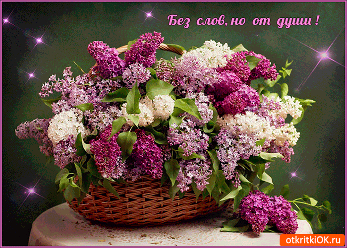 Без слов корзина сирень