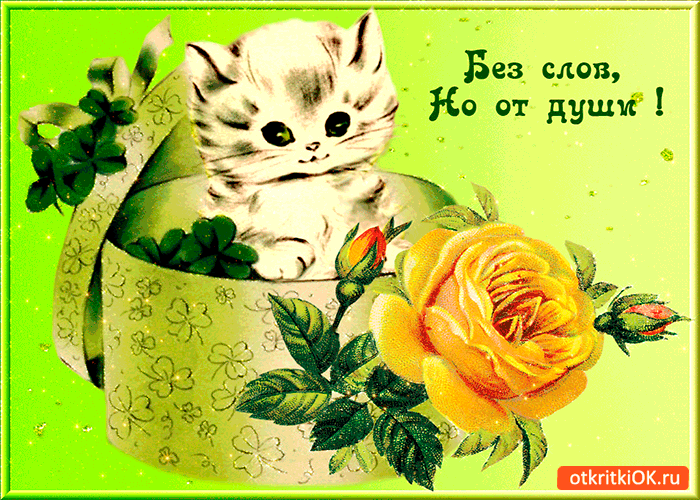 Без слов но от души