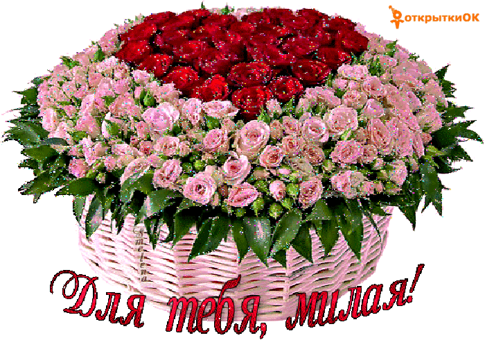 Большая корзина цветов