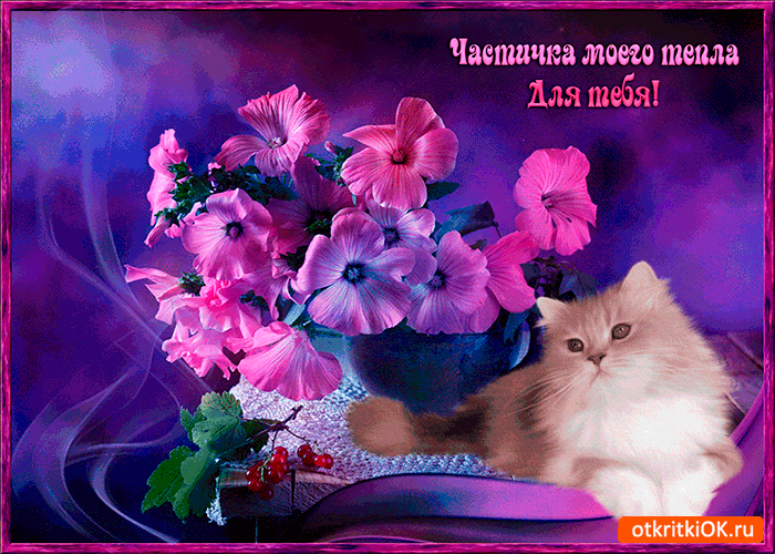 Частичка моего тепла для тебя