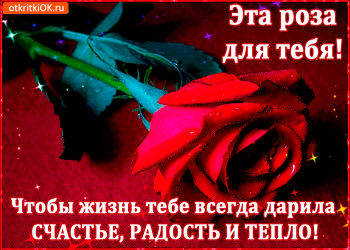 Чтоб жизнь всегда тебе дарила счастье