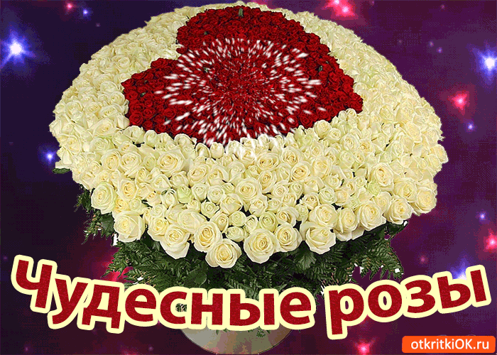 Чудесные розы для тебя!