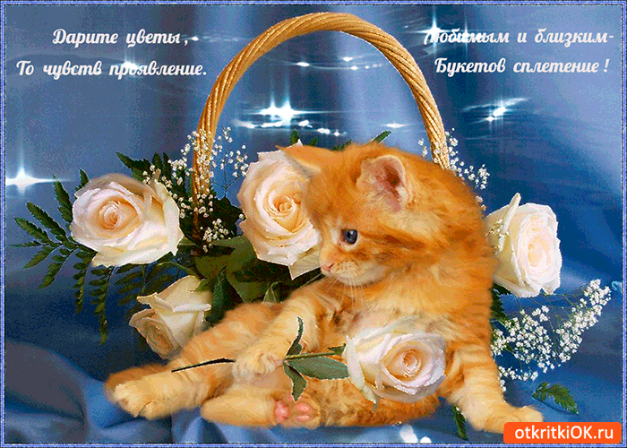 Дарите цветы любимым Дарите цветы любимым