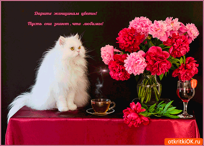 Дарите женщинам цветы