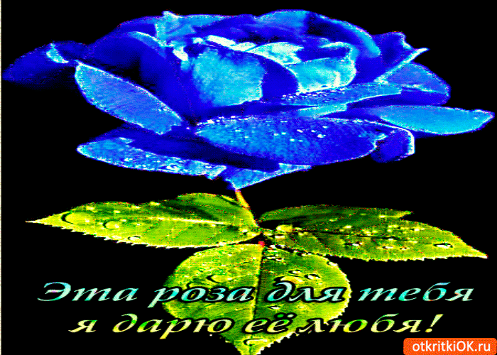 Дарю розу любя