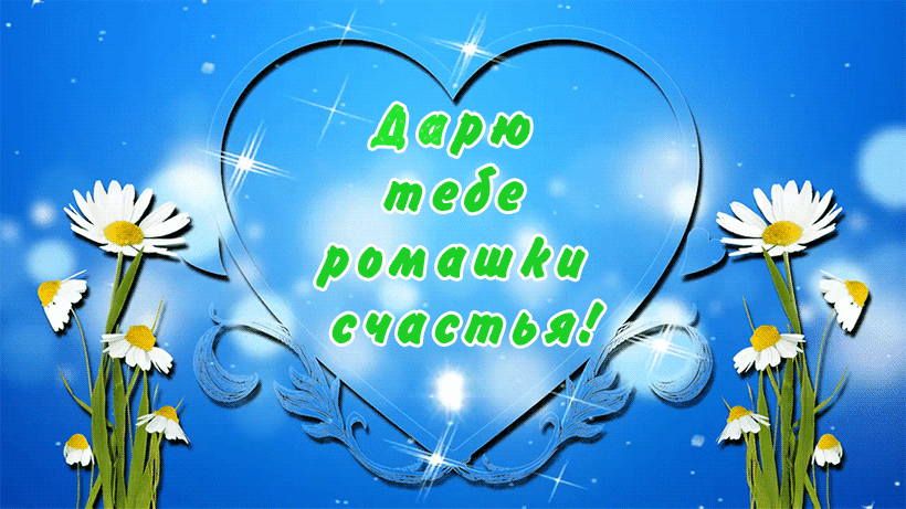 Дарю тебе ромашки счастья!