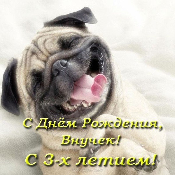 День рождения внука 3 года прикольная открытка