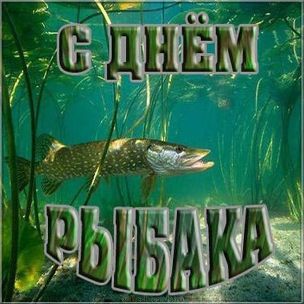 День рыбака картинка