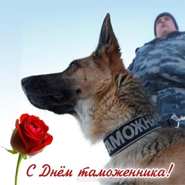 День таможенника картинка