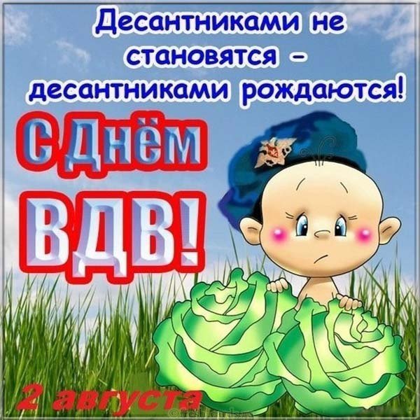 День ВДВ смешная картинка