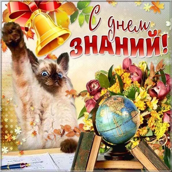 День знаний картинка прикольная