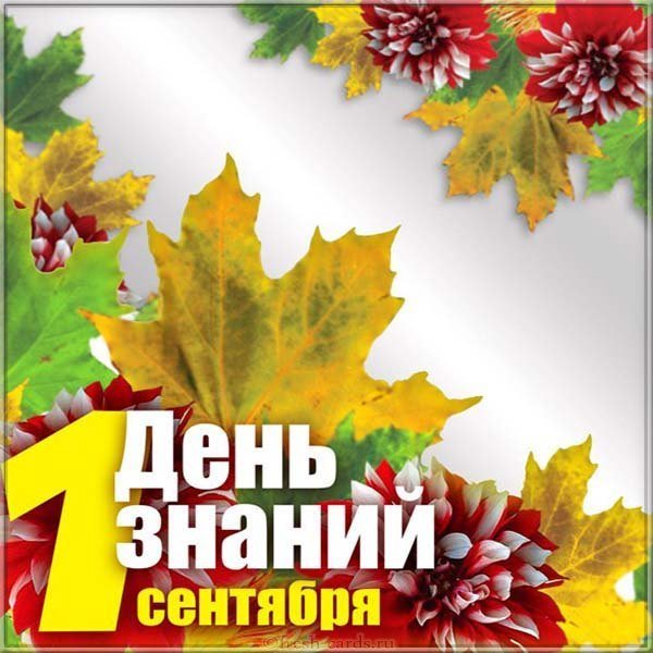 День знаний открытка фото