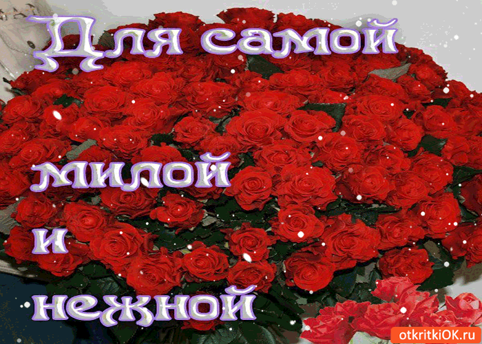 Для самой милой и нежной букет роз