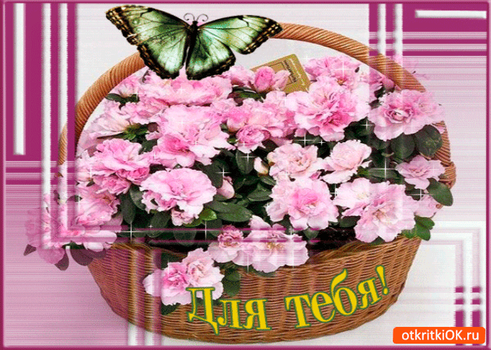 Для тебя корзина от меня