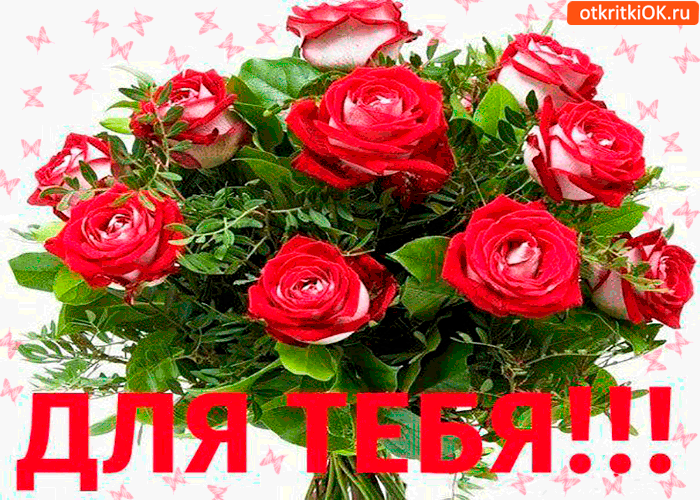 Для тебя красивый букет роз