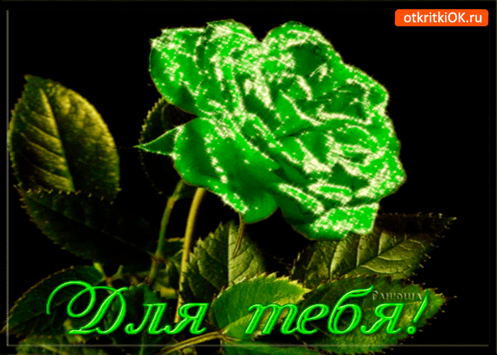 Для тебя необычная роза