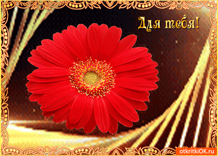 Для тебя необычный цветок
