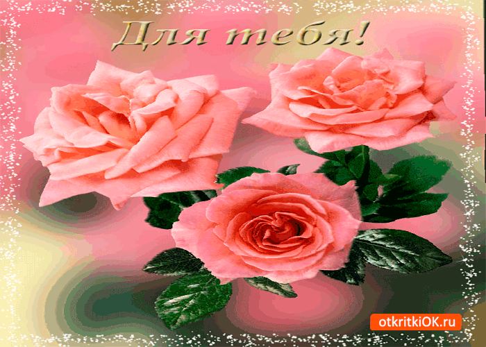 Для тебя нежные розовые розы Для тебя нежные розовые розы