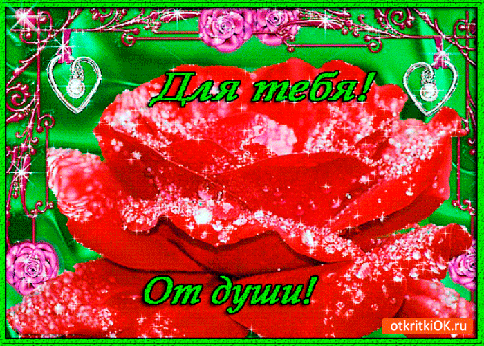 Для тебя от души розу дарю