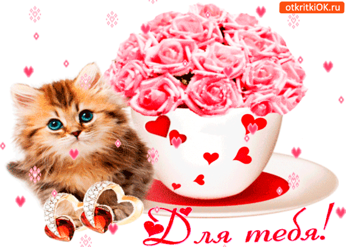 Для тебя от милого котика