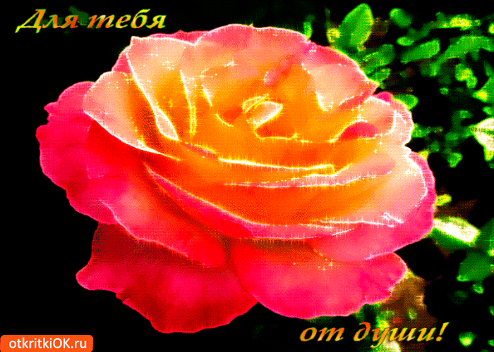 Для тебя пион от души