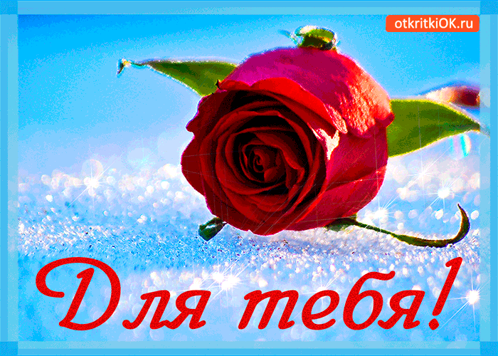 Для тебя роза красивая
