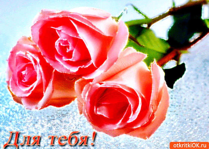 Для тебя розовые розы