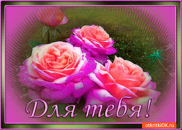 Для тебя свежие розы