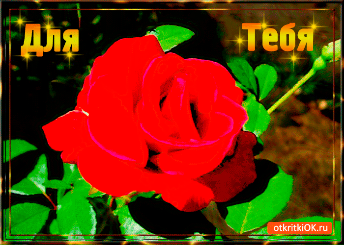 Для тебя цветочек
