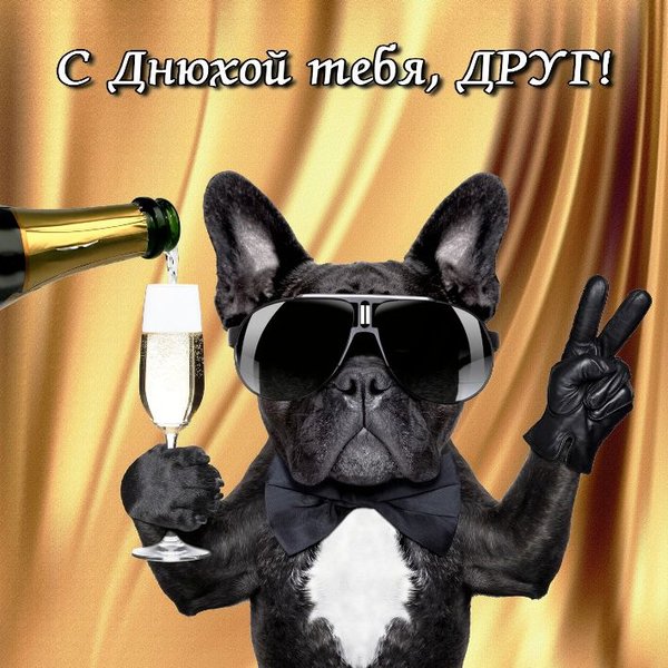 Днюхой тебя, друг