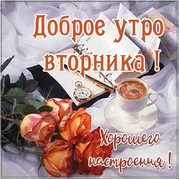 Доброе утро хорошего вторника картинка прикольная