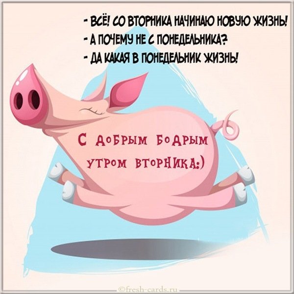 Доброе утро вторника картинка прикольная