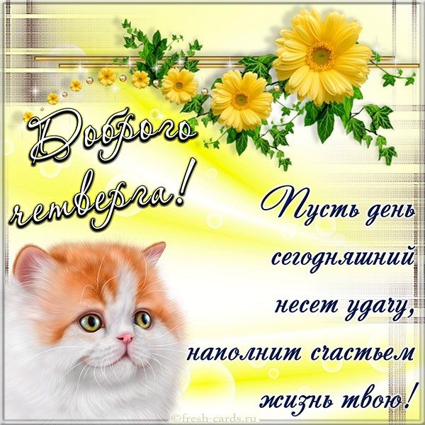 Доброго четверга открытка бесплатно
