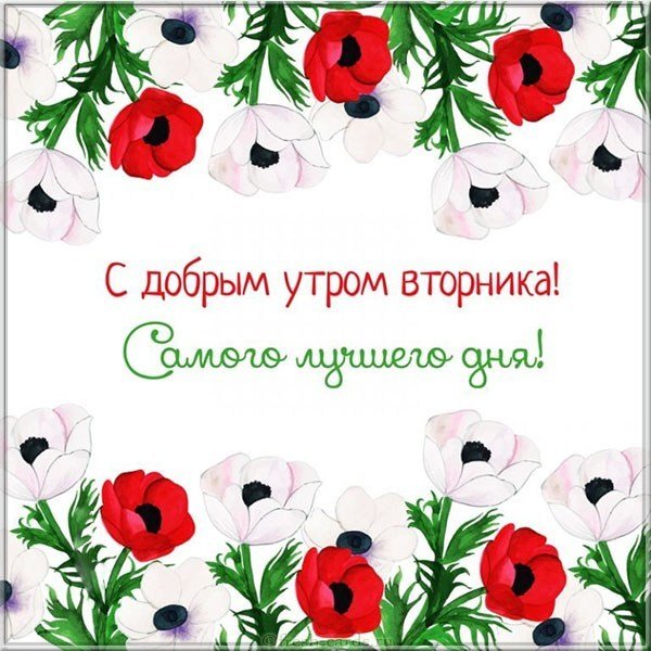 Доброго утра вторника картинка