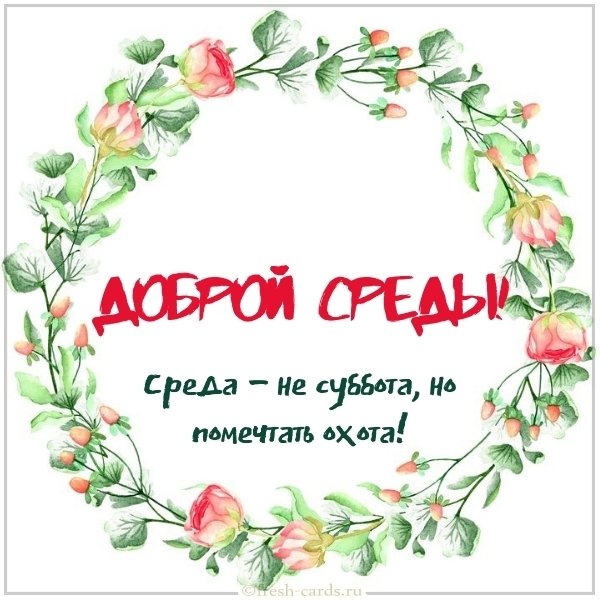 Доброй среды прикольная интересная картинка